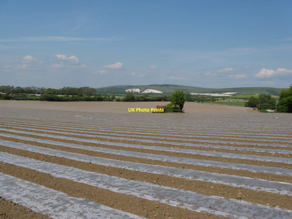 Photo 6"x4" Pillbox protecting crop near Iford Rodmell c2010