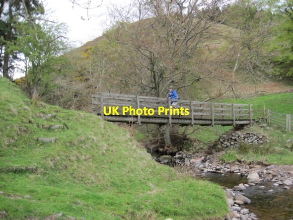Photo 6"x4" Footbridge over Spartley Burn Alnham c2010