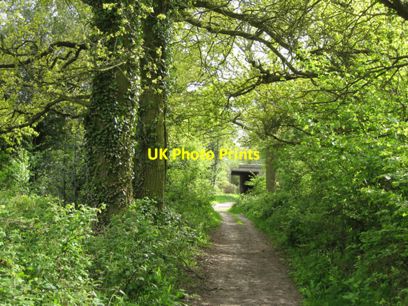 Photo 6"x4" M40 crosses unclassified county road Copt Green c2010