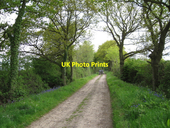 Photo 6"x4" Unclassified county road to Bushwood Copt Green c2010