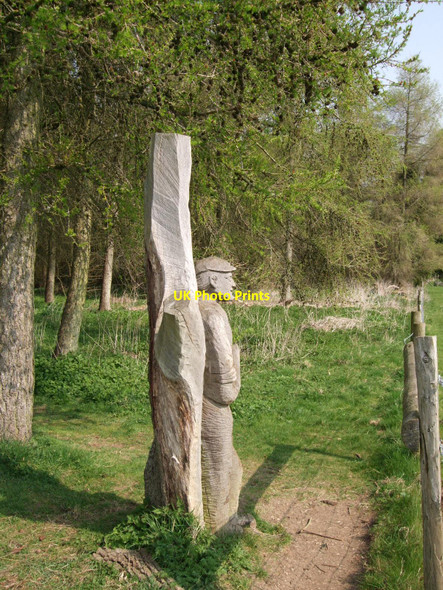Photo 6"x4" Woodland in Sherborne Park Sherborne\/SP1714 c2010
