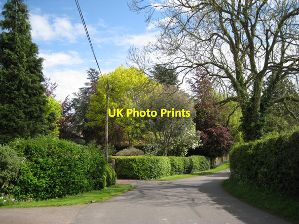 Photo 6"x4" A bend in Mill Lane Turner's Green\/SP1969 c2010