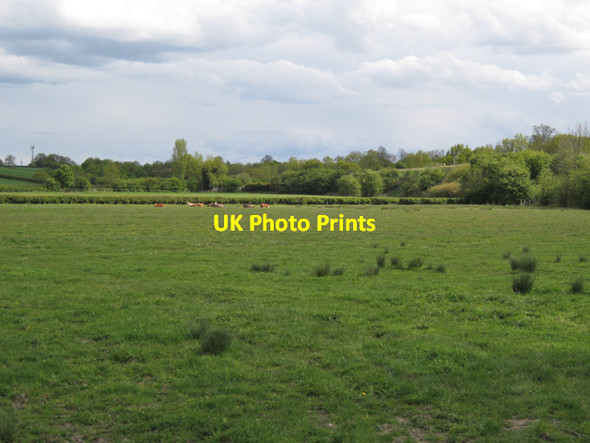 Photo 6"x4" Fields near Turner's End Farm Turner's Green\/SP1969 c2010