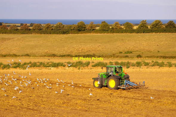 Photo 6"x4" Farmland near Kelling Heath, Norfolk Weybourne\/TG1142 c2009