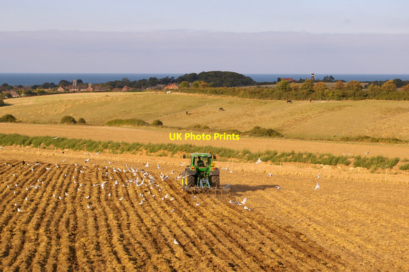 Photo 6"x4" Farmland near Kelling Heath, Norfolk Weybourne\/TG1142 c2009 P1