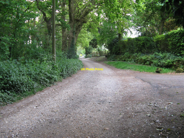Photo 6"x4" Bridleway NW of Lodsworth Leggatt Hill c2010