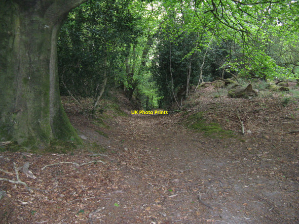 Photo 6"x4" Footpath descent from Bexleyhill Common Bexleyhill c2010