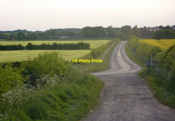 Photo 6"x4" Lane towards Eaton Eaton\/SK7178 c2010