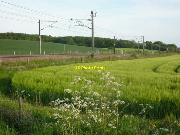 Photo 6"x4" Farmland and the main line railway Eaton\/SK7178 c2010