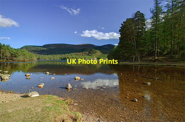 Photo 6"x4" Loch an Eilein Doune\/NH8809 c2010