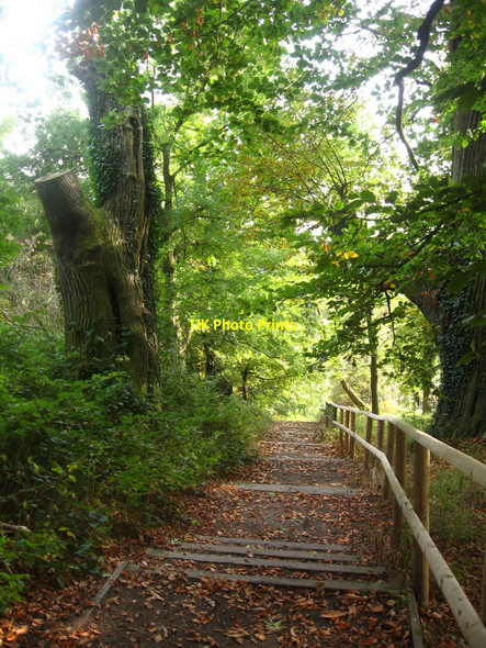 Photo 6"x4" Stairway in Autumn Pontypool\/Pont-y-pwl c2009