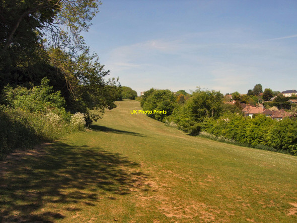 Photo 6"x4" Three Cornered Copse Hove c2010