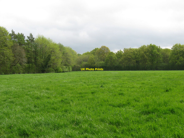 Photo 6"x4" Lush green fields on path to Lickfold Bexleyhill c2010