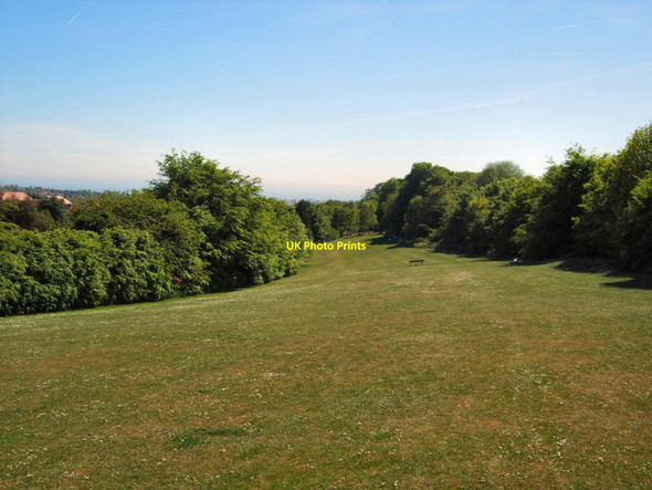 Photo 6"x4" Three Cornered Copse looking South Hove c2010
