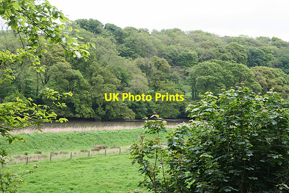 Photo 6"x4" Calstock: towards the Tamar Calstock c2010