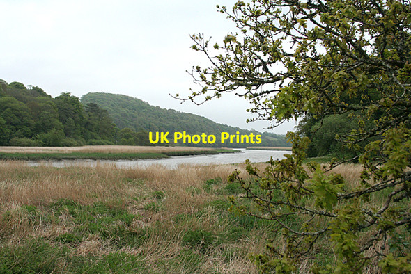 Photo 6"x4" St Dominick: the Tamar below Cothele Quay Bohetherick c2010