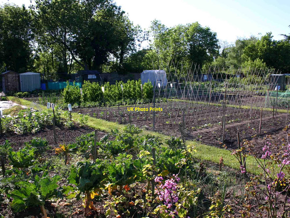 Photo 6"x4" Allotments, Wasperton Lane, Barford Barford\/SP2760 c2010