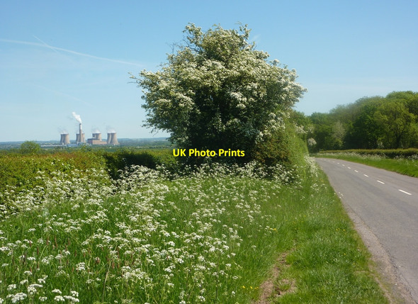 Photo 6"x4" Wood Lane east of Grovemoor Farm Little Gringley c2010