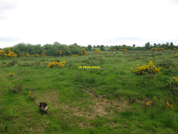 Photo 6"x4" Field at Commons, Balscaddan, Co. Dublin Balbriggan c2010