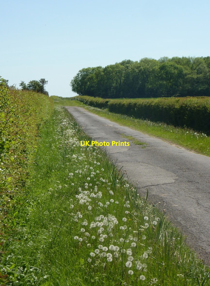 Photo 6"x4" Track to Forwood Farm Woodbeck c2010