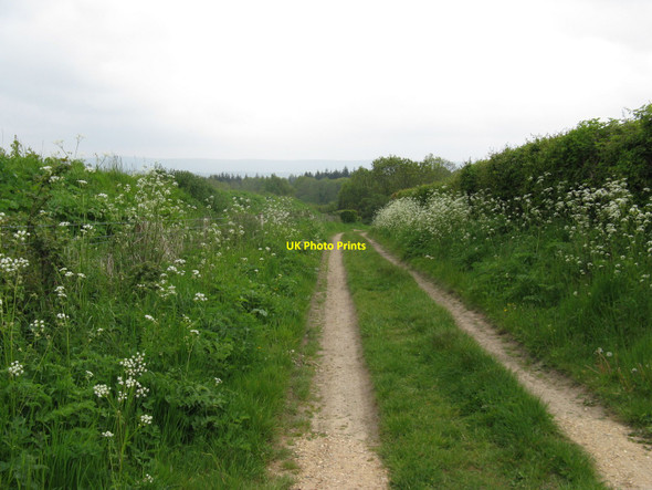 Photo 6"x4" Footpath from Leggatt Hill to Lodsworth Leggatt Hill c2010