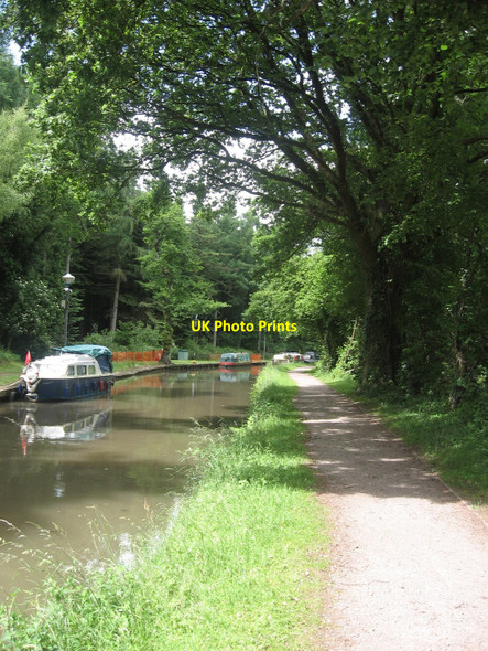 Photo 6"x4" Towpath in the Woods Pencroesoped c2009