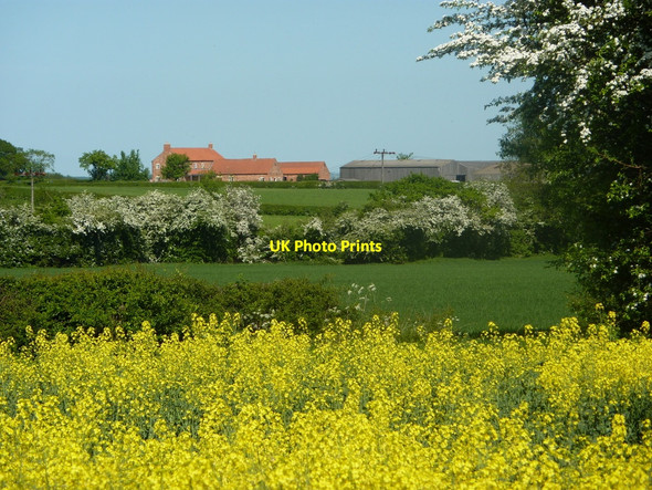 Photo 6"x4" View towards Stanhope Farm Headon\/SK7477 c2010