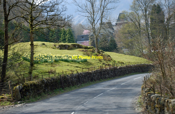 Photo 6"x4" B5289 near Lodore Wood Grange\/NY2517 c2010