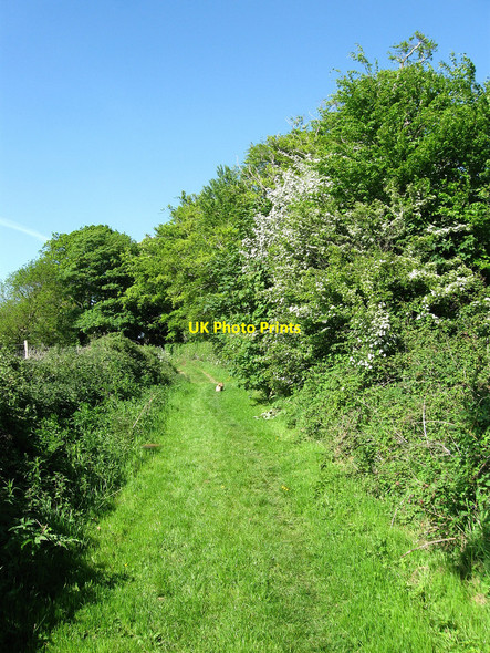 Photo 6"x4" Footpath near Eckington Corner Eckington Corner c2010