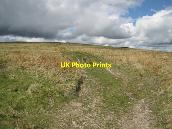 Photo 6"x4" Path to Gills Law Clennell c2010