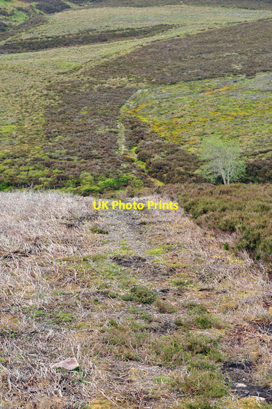 Photo 6"x4" Path across the moorland near Ben Main Milltown of Auchindoun c2010