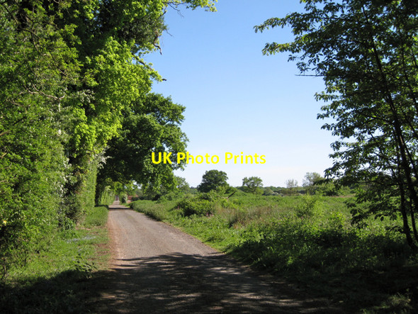 Photo 6"x4" Drive to Nunley Farm Oldwich Lane c2010