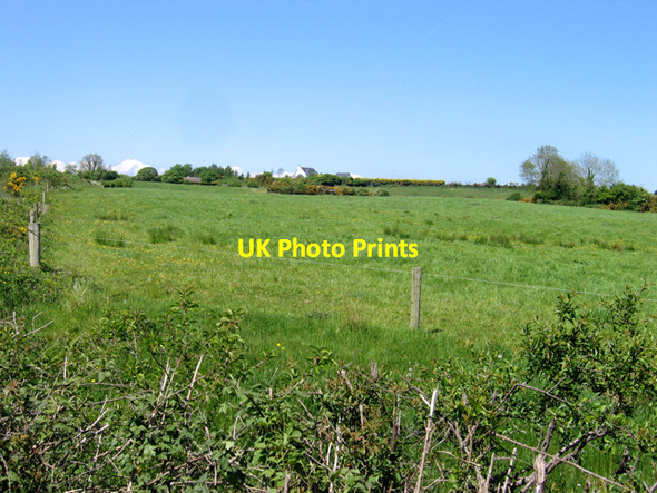Photo 6"x4" Pasture east of the R741, Ballyknocken, Co. Wexford Ballaghkeen c2010