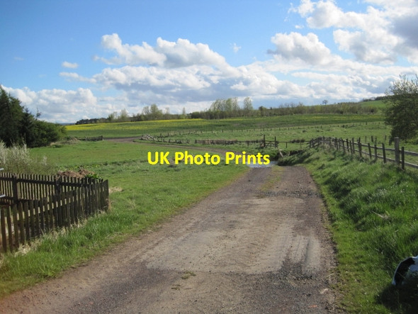 Photo 6"x4" Track leading to Ford through the Netherton Burn Netherton\/NT9807 c2010