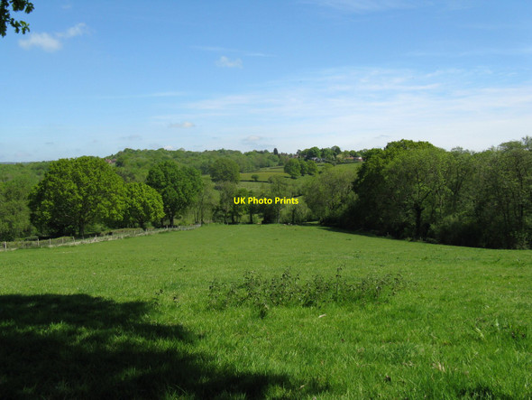 Photo 6"x4" Pastures north of Spring Lane Poundford c2010