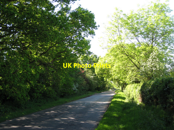 Photo 6"x4" Honiley Road Meer End c2010