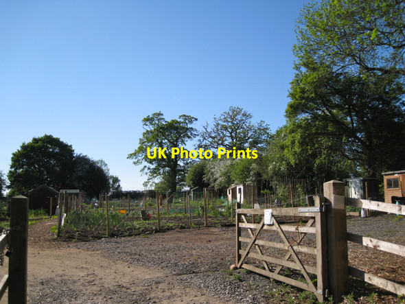 Photo 6"x4" Allotments, Holly Lane Balsall c2010