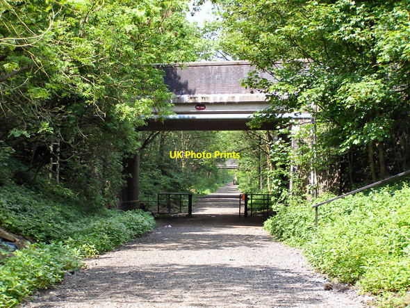 Photo 6"x4" Disused Railway, Park Road Bridge Walkden c2010