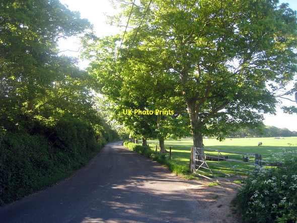Photo 6"x4" Dennes Lane Lydd c2010