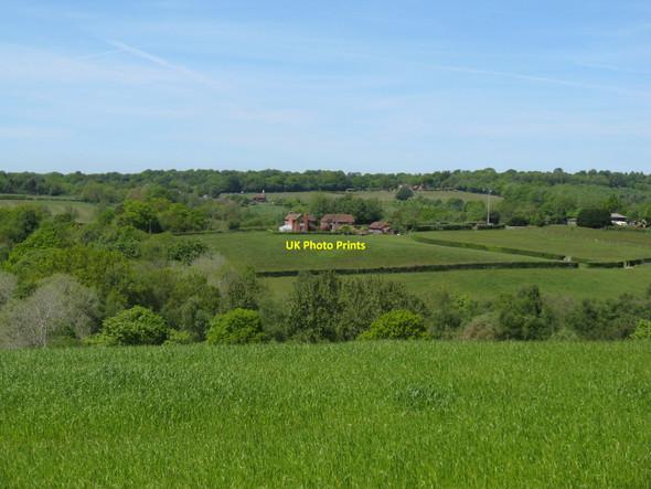 Photo 6"x4" A pair of Oast houses Beacon Down c2010