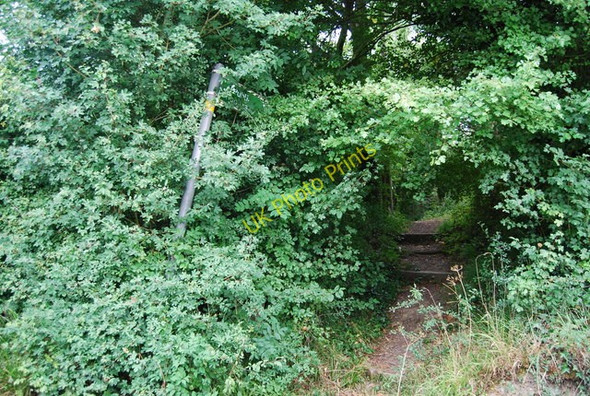 Photo 6"x4" Footpath signposted off Hale Oak Rd Hall's Green\/TQ5249 c2009