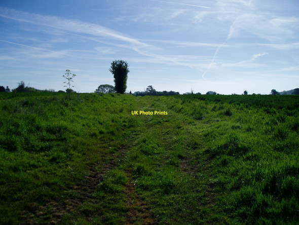 Photo 6"x4" Public footpath 355\/1 Ford\/SU9903 c2010