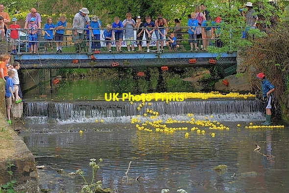 Photo 6"x4" Annual Duck Race, River Leven Great Ayton c2010