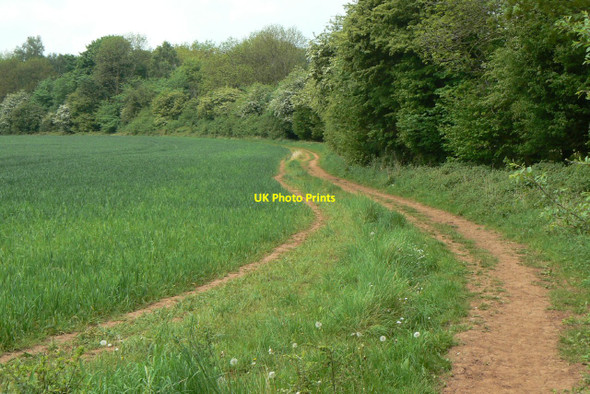 Photo 6"x4" Footpath near Beauvale Beauvale\/SK5248 c2010