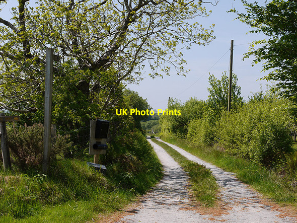 Photo 6"x4" Track to Berth-Lŵyd farm Cross Inn\/SN5464 c2010