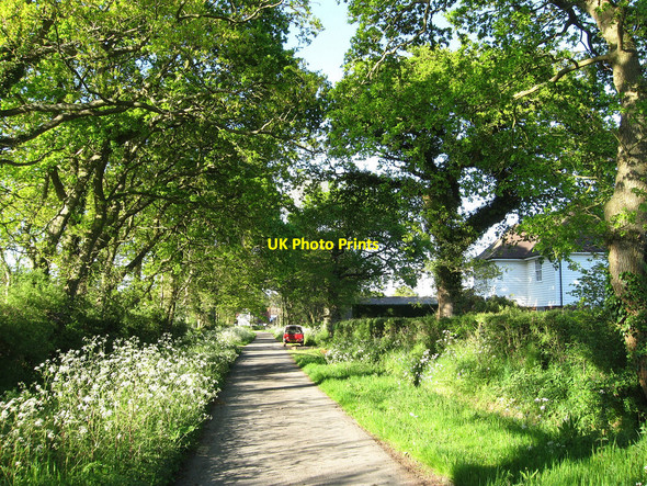 Photo 6"x4" Sheepcote Lane Chalvington c2010