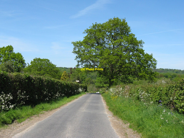 Photo 6"x4" North on Sheepwash Lane Waldron Down c2010
