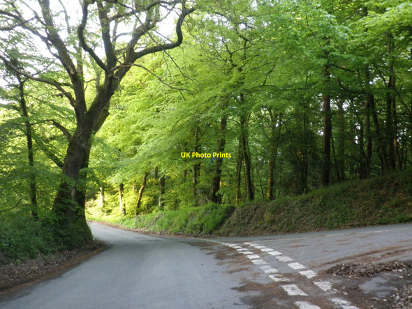 Photo 6"x4" Road Junction, in Perridge Wood Longdown\/SX8691 c2010