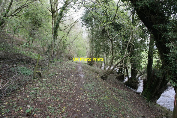Photo 6"x4" Footpath by the brook Dolyhir c2010
