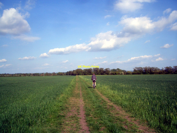 Photo 6"x4" Cycling in the Sun Roke c2010